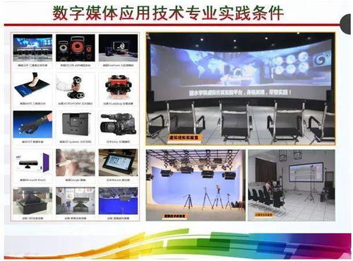 創意生活，設計未來 數字媒體應用技術專業與數字文化創意內容應用服務