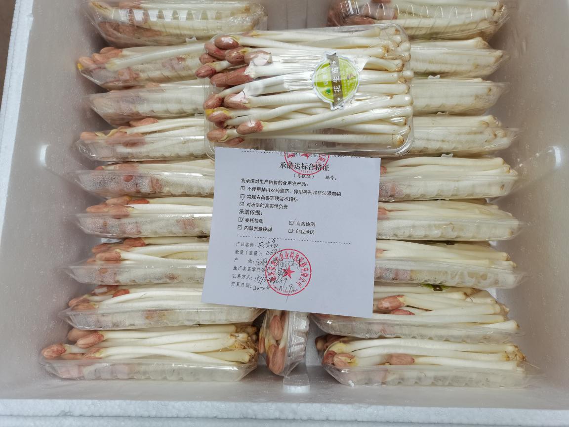 推進(jìn)承諾達(dá)標(biāo)合格證制度 守護(hù)“舌尖上的安全”——食用農(nóng)產(chǎn)品批發(fā)專項(xiàng)行動(dòng)紀(jì)實(shí)